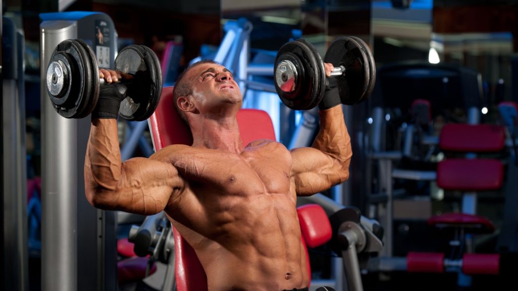 Dumbbell Shoulder Press