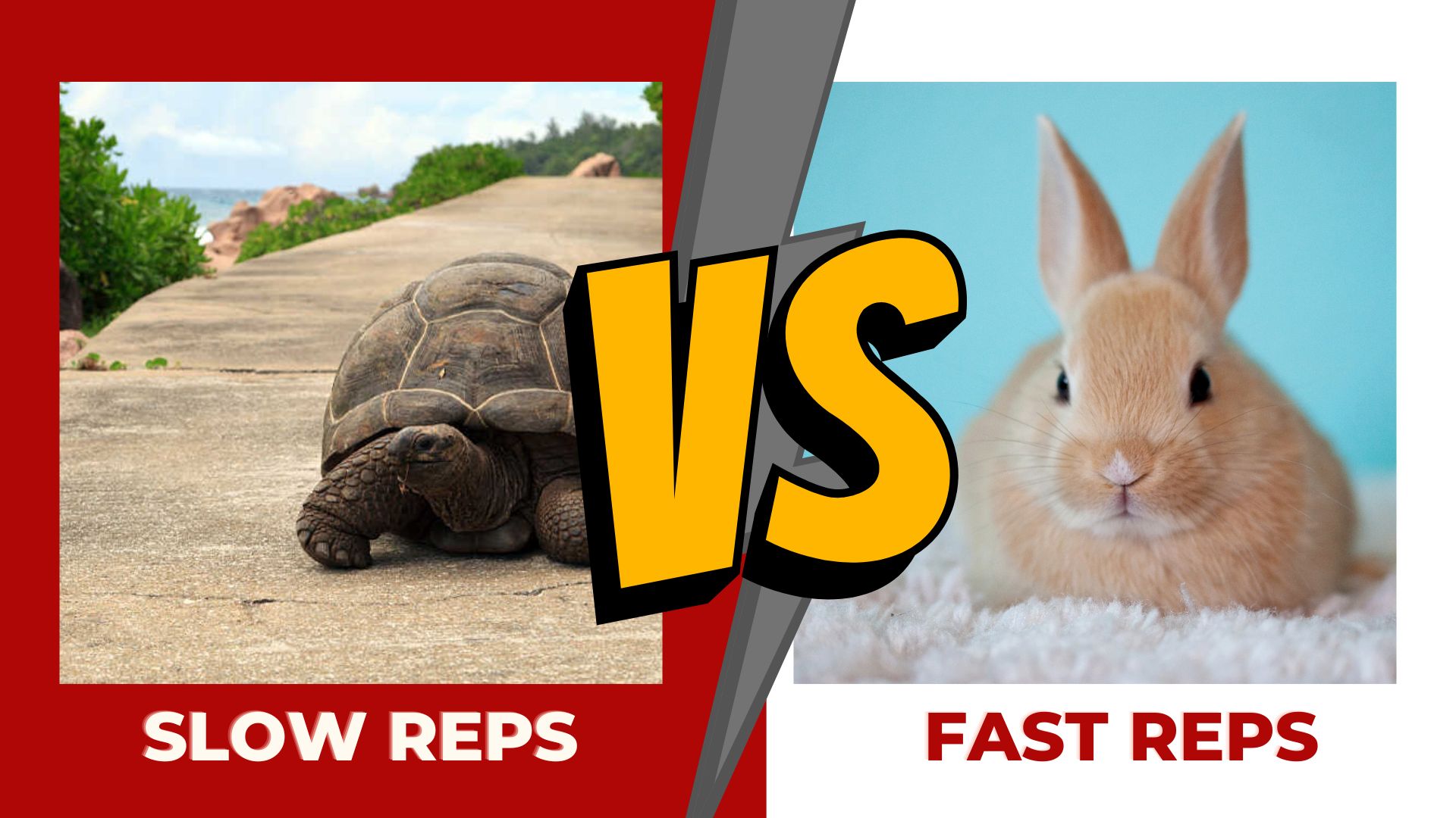 Fast REPS Vs Slow REPS, Mana yang Lebih Efektif saat Latihan?