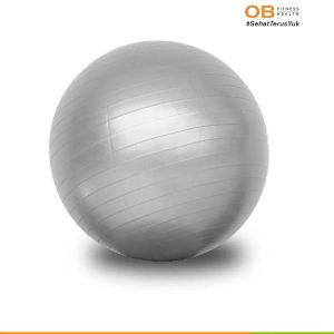 OB Fit FitSphere Max Gym Ball 75 cm