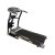 Paris Motorized Treadmill 2.5 HP Incline 15 level Max User 110 kg