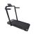 Richter Evolve Adjustable Treadmill/Walking Pad 1.25 HP Max User 100 kg