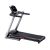 Richter Treadmill Enigma S 2 HP 12P Incline 12 Level Max User 100 kg